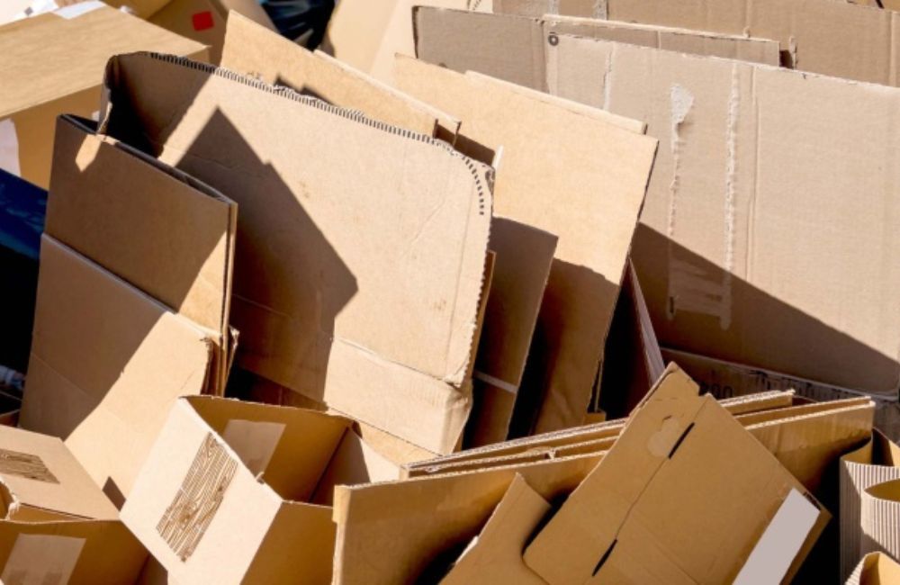 Recyclage Papier Carton : 1er Expert en Collecte au Maroc
